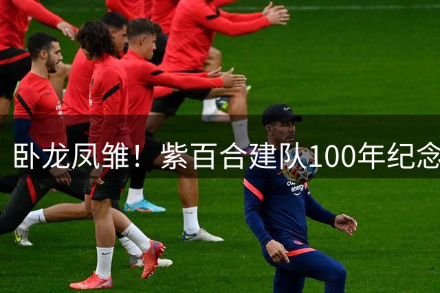 卧龙凤雏！紫百合建队100年纪念日对标热刺：2轮输0-7 1.2亿签12人